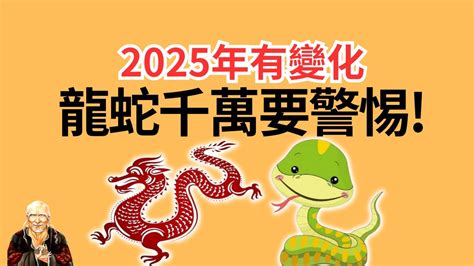 屬龍 顏色|2025年屬龍的適合顏色及其象徵意義解析